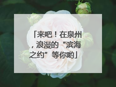 来吧！在泉州，浪漫的“滨海之约”等你哟