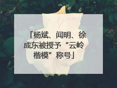 杨斌、闻明、徐成东被授予“云岭楷模”称号