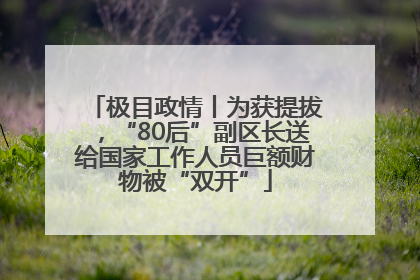 极目政情丨为获提拔，“80后”副区长送给国家工作人员巨额财物被“双开”