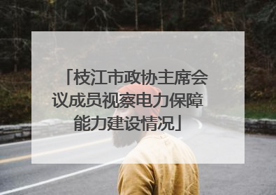 枝江市政协主席会议成员视察电力保障能力建设情况