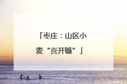 枣庄：山区小麦“喜开镰”