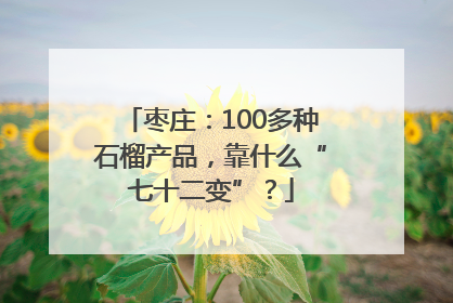 枣庄：100多种石榴产品，靠什么“七十二变”？