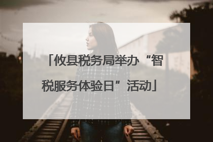 攸县税务局举办“智税服务体验日”活动