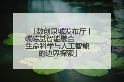 数创泉城发布厅丨碳硅基智能融合——生命科学与人工智能的边界探索