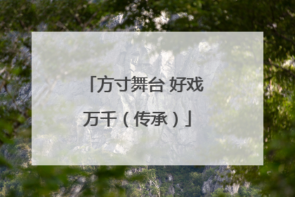 方寸舞台 好戏万千（传承）