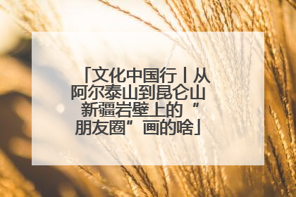 文化中国行丨从阿尔泰山到昆仑山 新疆岩壁上的“朋友圈”画的啥