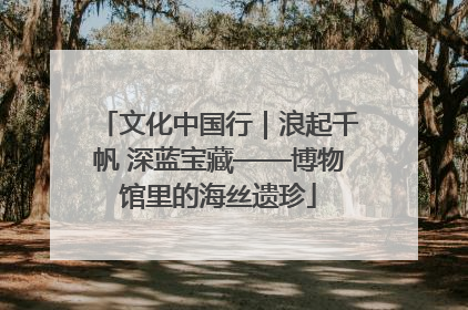 文化中国行｜浪起千帆 深蓝宝藏——博物馆里的海丝遗珍