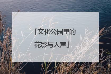 文化公园里的花影与人声