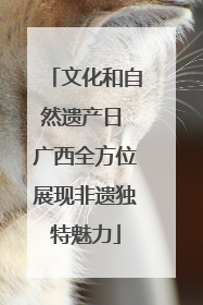 文化和自然遗产日 广西全方位展现非遗独特魅力