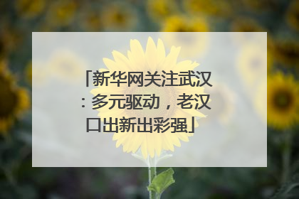 新华网关注武汉：多元驱动，老汉口出新出彩强