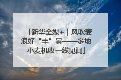 新华全媒+｜风吹麦浪好“丰”景——多地小麦机收一线见闻