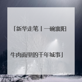 新华走笔丨一碗襄阳牛肉面里的千年城事