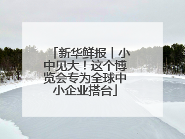 新华鲜报丨小中见大！这个博览会专为全球中小企业搭台