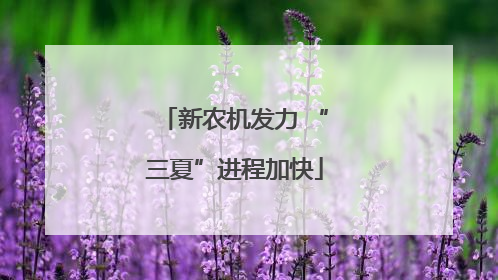 新农机发力 “三夏”进程加快