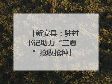 新安县：驻村书记助力“三夏”抢收抢种