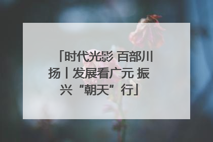 时代光影 百部川扬丨发展看广元 振兴“朝天”行