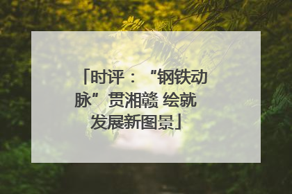 时评：“钢铁动脉”贯湘赣 绘就发展新图景
