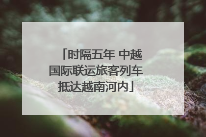 时隔五年 中越国际联运旅客列车抵达越南河内