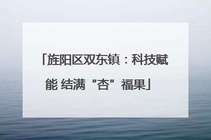 旌阳区双东镇：科技赋能 结满“杏”福果