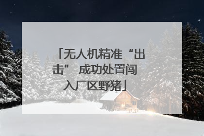无人机精准“出击” 成功处置闯入厂区野猪