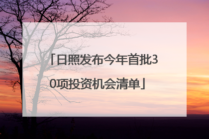 日照发布今年首批30项投资机会清单