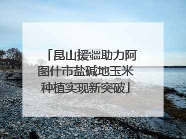 昆山援疆助力阿图什市盐碱地玉米种植实现新突破
