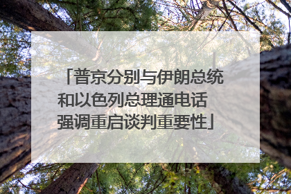 普京分别与伊朗总统和以色列总理通电话 强调重启谈判重要性