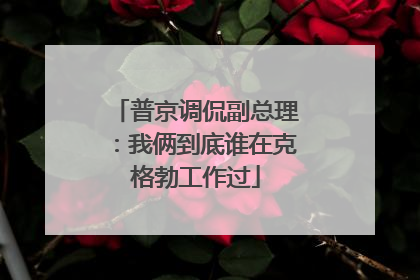 普京调侃副总理：我俩到底谁在克格勃工作过