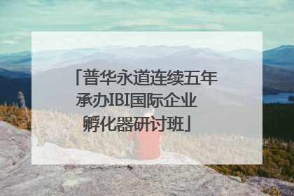 普华永道连续五年承办IBI国际企业孵化器研讨班