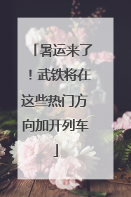 暑运来了！武铁将在这些热门方向加开列车