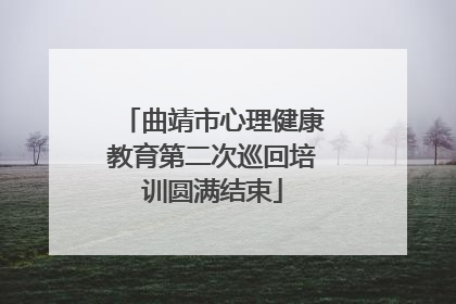 曲靖市心理健康教育第二次巡回培训圆满结束