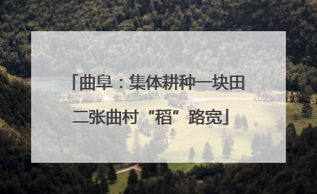 曲阜：集体耕种一块田 二张曲村“稻”路宽