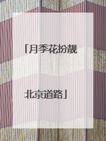 月季花扮靓北京道路