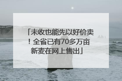 未收也能先以好价卖！全省已有70多万亩新麦在网上售出