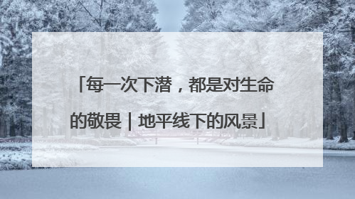 每一次下潜，都是对生命的敬畏｜地平线下的风景