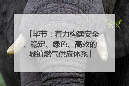 毕节：着力构建安全、稳定、绿色、高效的城镇燃气供应体系