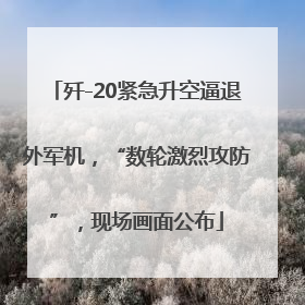 歼-20紧急升空逼退外军机，“数轮激烈攻防”，现场画面公布