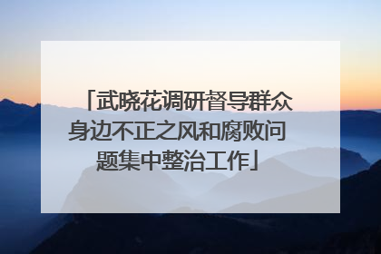 武晓花调研督导群众身边不正之风和腐败问题集中整治工作