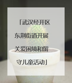 武汉经开区东荆街道开展关爱困境和留守儿童活动
