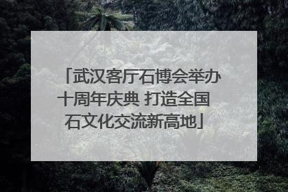武汉客厅石博会举办十周年庆典 打造全国石文化交流新高地