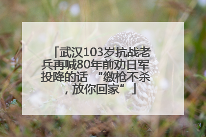武汉103岁抗战老兵再喊80年前劝日军投降的话 “缴枪不杀，放你回家”