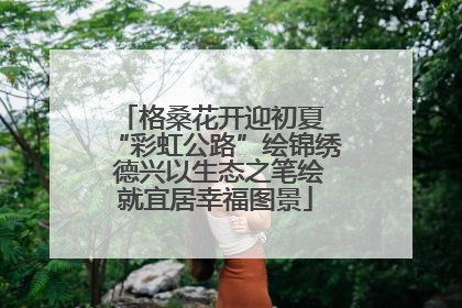 格桑花开迎初夏 “彩虹公路”绘锦绣 德兴以生态之笔绘就宜居幸福图景