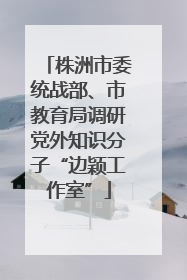 株洲市委统战部、市教育局调研党外知识分子“边颖工作室”