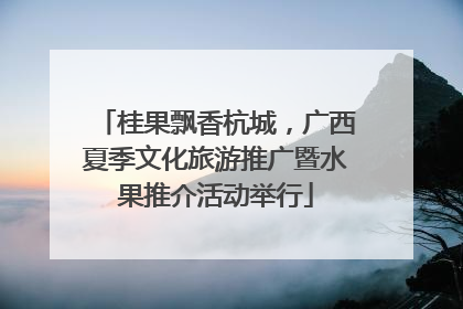 桂果飘香杭城，广西夏季文化旅游推广暨水果推介活动举行