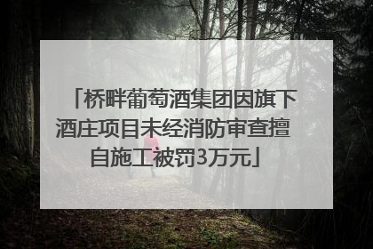 桥畔葡萄酒集团因旗下酒庄项目未经消防审查擅自施工被罚3万元