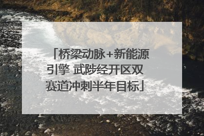 桥梁动脉+新能源引擎 武陟经开区双赛道冲刺半年目标