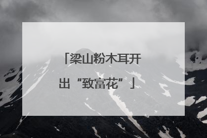 梁山粉木耳开出“致富花”
