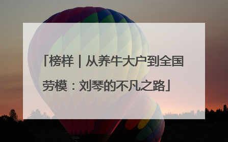 榜样｜从养牛大户到全国劳模：刘琴的不凡之路