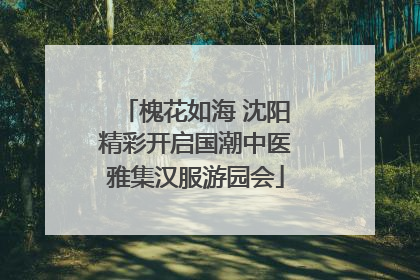 槐花如海 沈阳精彩开启国潮中医雅集汉服游园会