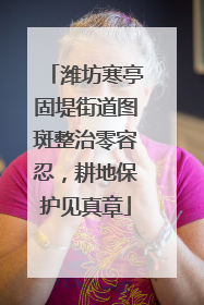 潍坊寒亭固堤街道图斑整治零容忍，耕地保护见真章